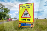 Minchinhampton the town in England where cattle roam free