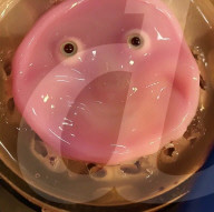 Developing human-like skin for robots