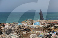 Health crisis in Gaza caused by uncollected garbage