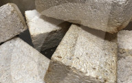 Plan to grow homes for astronauts on the Moon and Mars with fungi