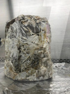 Plan to grow homes for astronauts on the Moon and Mars with fungi