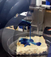 Plan to grow homes for astronauts on the Moon and Mars with fungi