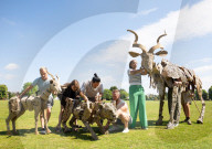 Life-size puppets of wild animals rehearse on the streets of London for the launch of The Herds  a new project from the team behind “Little Amal” at Wimbledon College of Arts, Wimbledon, London, UK.
