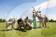 Life-size puppets of wild animals rehearse on the streets of London for the launch of The Herds  a new project from the team behind “Little Amal” at Wimbledon College of Arts, Wimbledon, London, UK.