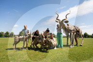 Life-size puppets of wild animals rehearse on the streets of London for the launch of The Herds  a new project from the team behind “Little Amal” at Wimbledon College of Arts, Wimbledon, London, UK.