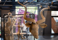 Life-size puppets of wild animals rehearse on the streets of London for the launch of The Herds  a new project from the team behind “Little Amal” at Wimbledon College of Arts, Wimbledon, London, UK.