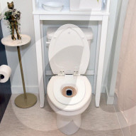 Cat Throne trains pets to use the toilet