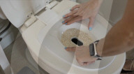 Cat Throne trains pets to use the toilet