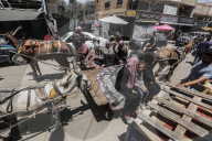 Gazans using horse and donkey carts transportation