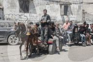 Gazans using horse and donkey carts transportation
