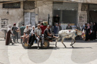 Gazans using horse and donkey carts transportation