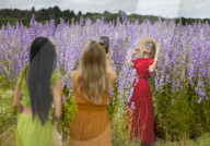 Pershore Confetti fields open