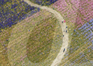 Pershore Confetti fields open