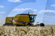 Ukraine wheat harvest