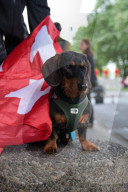 FUSSBALL - EURO 2024: Fanmärsche vor dem Spiel England - Schweiz in Düsseldorf