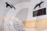 Torino, Anteprima stampa della mostra Mario Merz. Qualcosa che toglie il peso