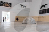 Torino, Anteprima stampa della mostra Mario Merz. Qualcosa che toglie il peso