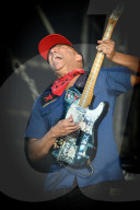 TOM MORELLO
