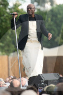 Seal Performs at BST Hyde Park, London