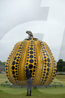 Yayoi Kusama's Pumpkin