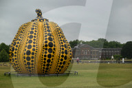 Yayoi Kusama's Pumpkin
