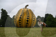 Yayoi Kusama's Pumpkin
