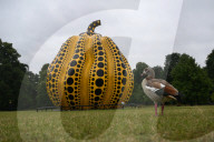 Yayoi Kusama's Pumpkin