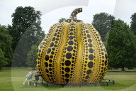 Yayoi Kusama's Pumpkin