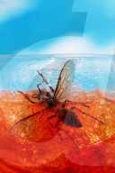 59 summer problems solved – from sunburn and sweating to wasps and wedgies.