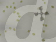 Microscopic algae-powered micro machines