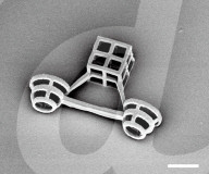 Microscopic algae-powered micro machines