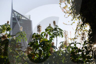 San Francisco park is unexpected ‘oasis’ for bird-watchers