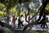 San Francisco park is unexpected ‘oasis’ for bird-watchers