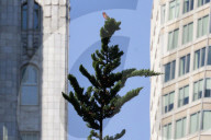 San Francisco park is unexpected ‘oasis’ for bird-watchers