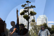 San Francisco park is unexpected ‘oasis’ for bird-watchers