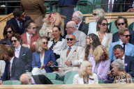 Wimbledon Tennis Championships-Day Twelve