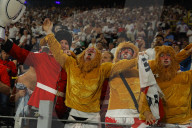 Euro 2024 semi-final match between Netherlands and England