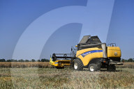 Rapeseed harvesting in Ukraine Zaporizhzhia region