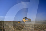 Rapeseed harvesting in Ukraine Zaporizhzhia region