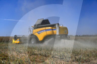 Rapeseed harvesting in Ukraine Zaporizhzhia region