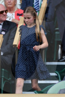 Wimbledon Tennis Championships-Day Fourteen