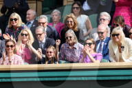 Wimbledon Tennis Championships-Day Fourteen