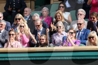 Wimbledon Tennis Championships-Day Fourteen