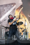 TOM MORELLO