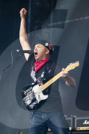 TOM MORELLO