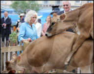 Their Majesties the King and Queen Visit the Channel Islands