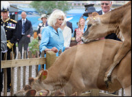 Their Majesties the King and Queen Visit the Channel Islands