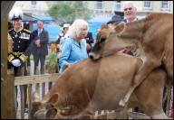 Their Majesties the King and Queen Visit the Channel Islands