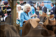 Their Majesties the King and Queen Visit the Channel Islands