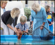 Their Majesties the King and Queen Visit the Channel Islands